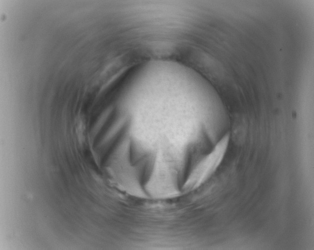 X0000066000866200603172203