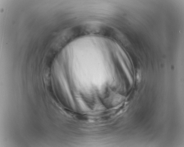 X0000066000867200603172203