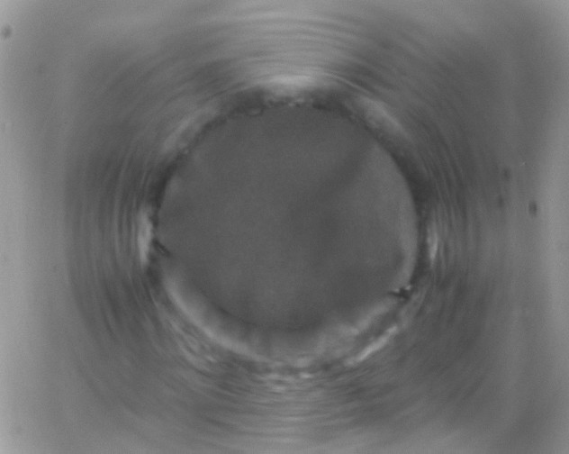 X0000066000868200603172203