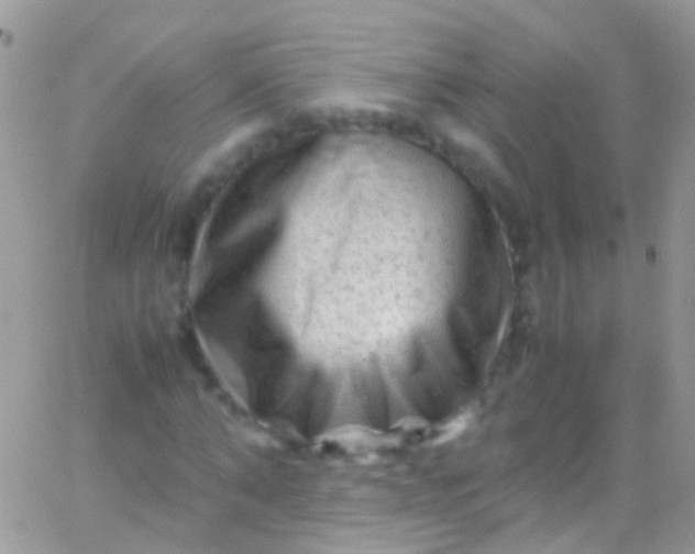 X0000066000870200603172203