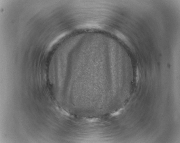 X0000066000872200603172203