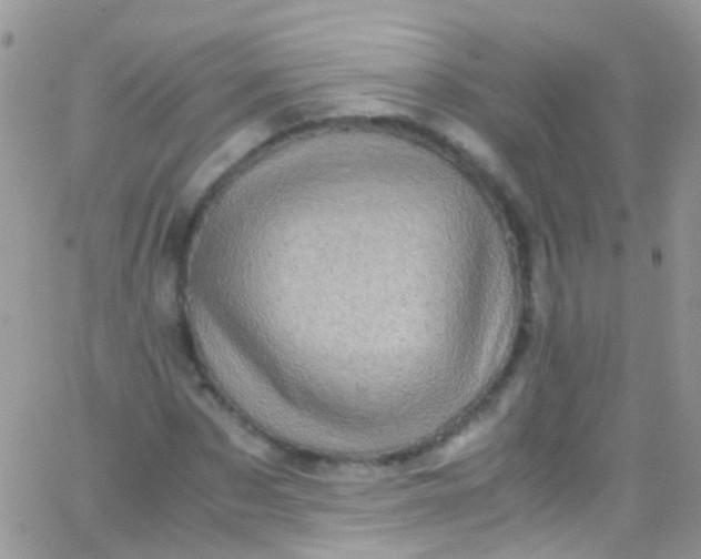 X0000066000873200603172203