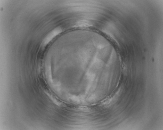 X0000066000874200603172203