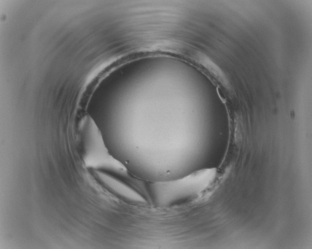 X0000066000876200603172203