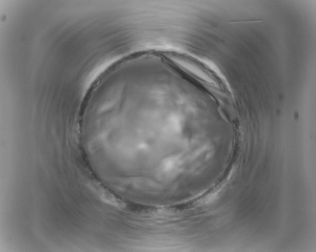 X0000066000879200603172203