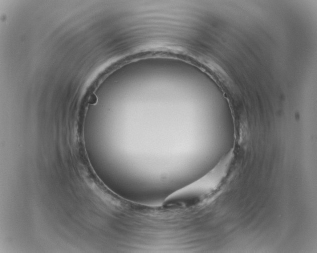 X0000066000880200603172203