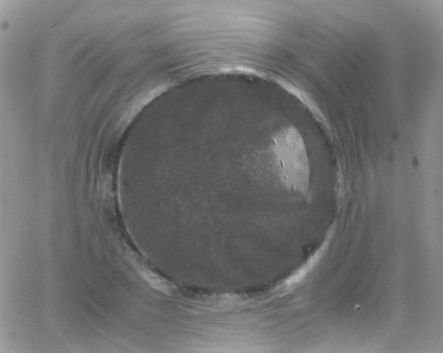 X0000066000881200603172202