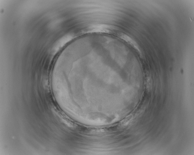 X0000066000882200603172202