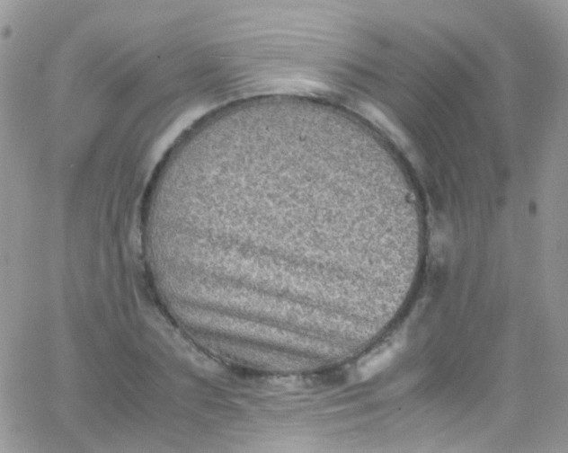 X0000066000883200603172202