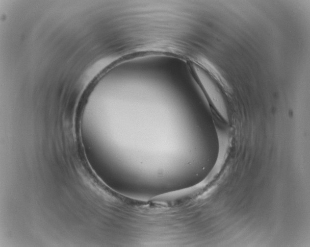 X0000066000884200603172202