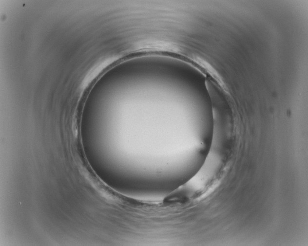 X0000066000885200603172202