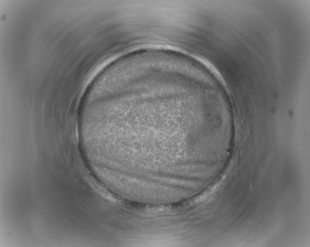 X0000066000887200603172202