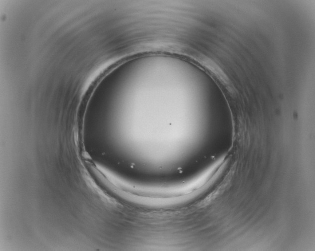 X0000066000888200603172202