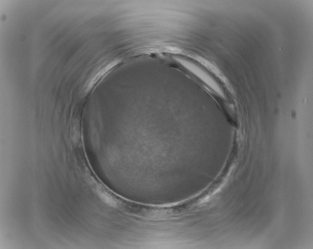 X0000066000889200603172202