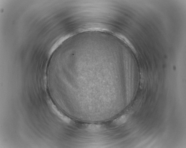 X0000066000890200603172202