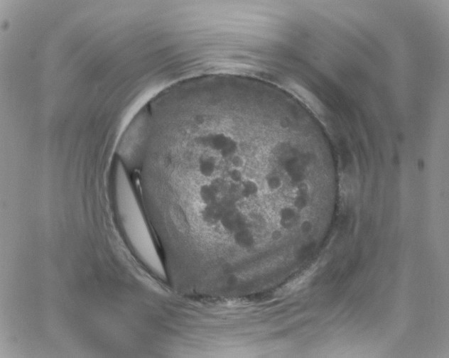 X0000066000891200603172202