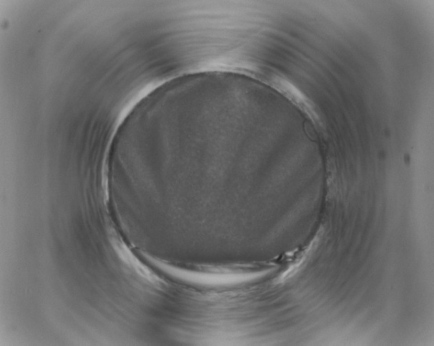 X0000066000892200603172202