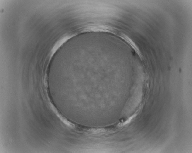 X0000066000893200603172202