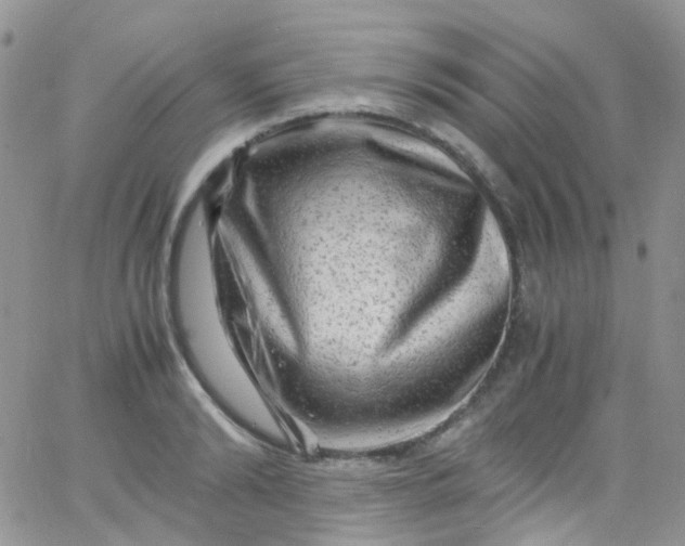 X0000066000894200603172202