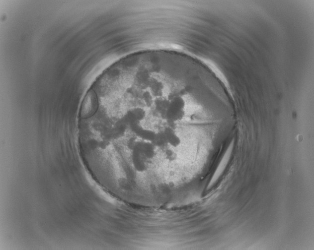 X0000066000895200603172202