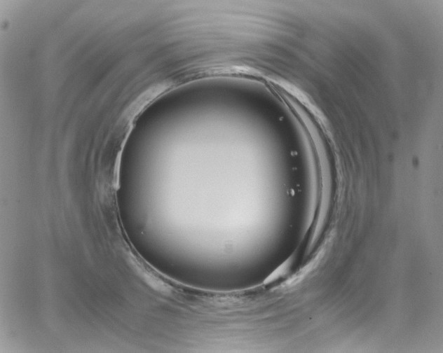 X0000066000897200603172202