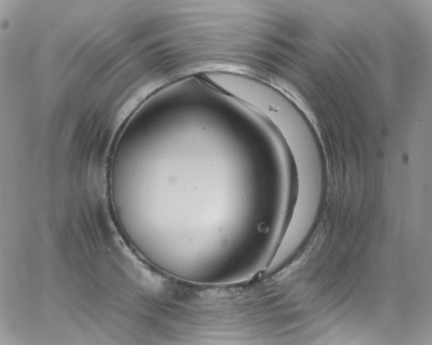 X0000066000898200603172202