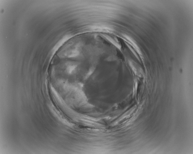 X0000066000899200603172202