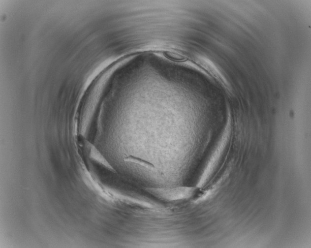 X0000066000900200603172202