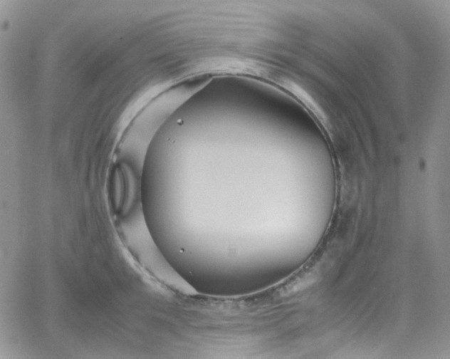 X0000066000901200603172202