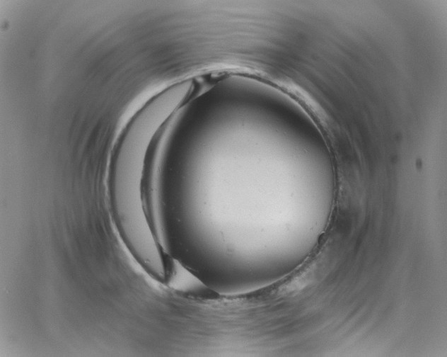 X0000066000902200603172202