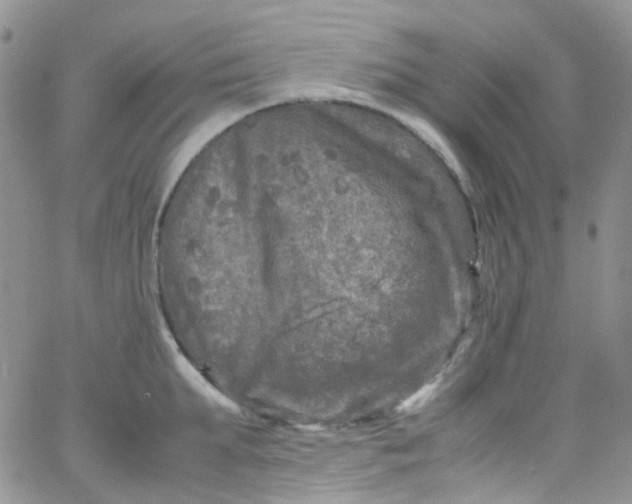 X0000066000903200603172202