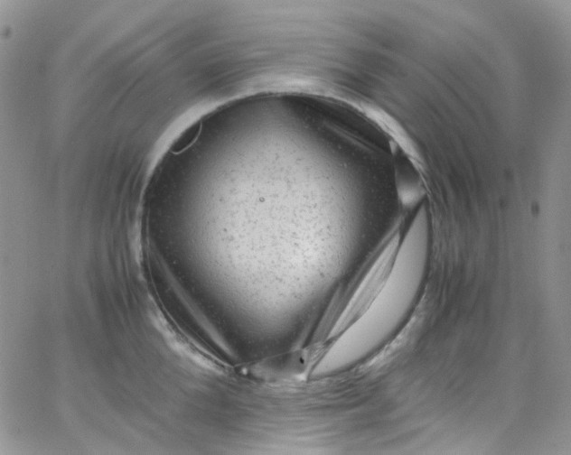 X0000066000904200603172202