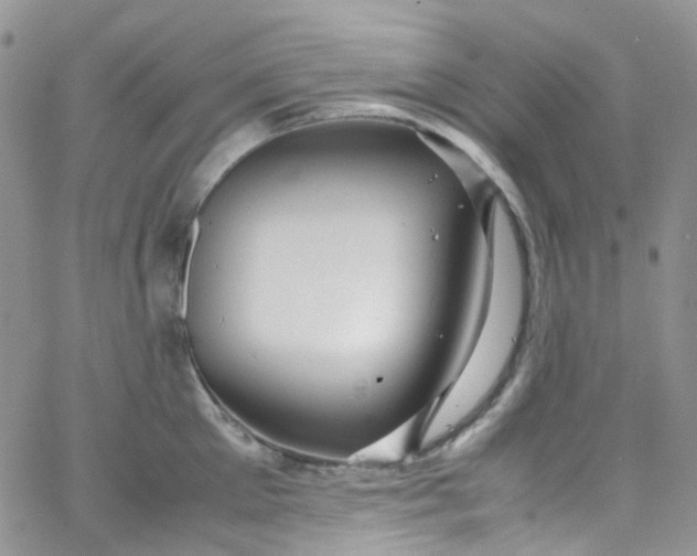 X0000066000905200603172202