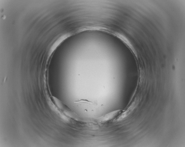 X0000066000906200603172202