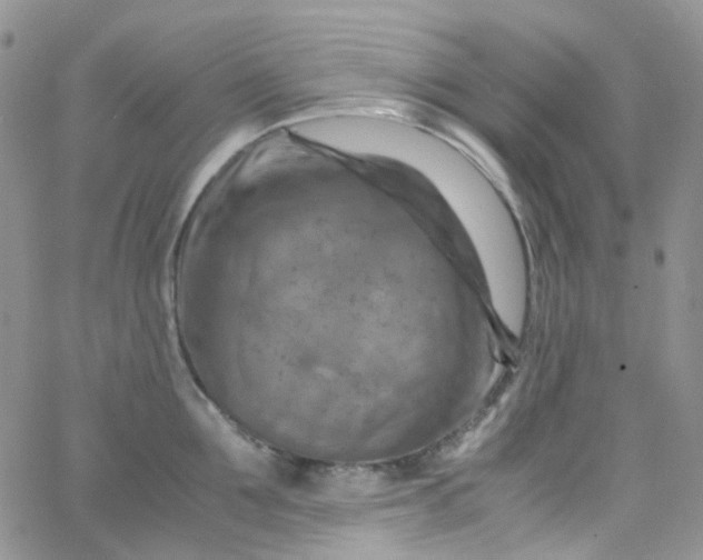 X0000066000907200603172202