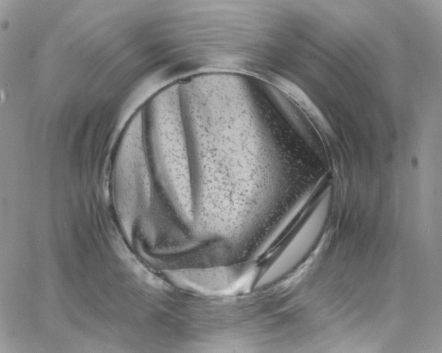 X0000066000908200603172202