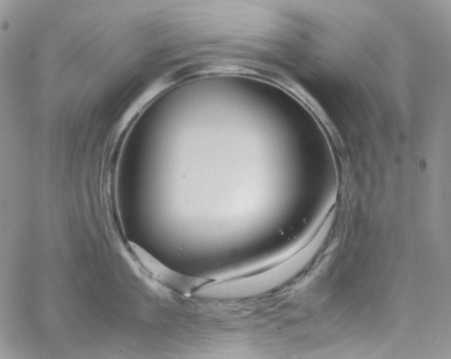 X0000066000909200603172202