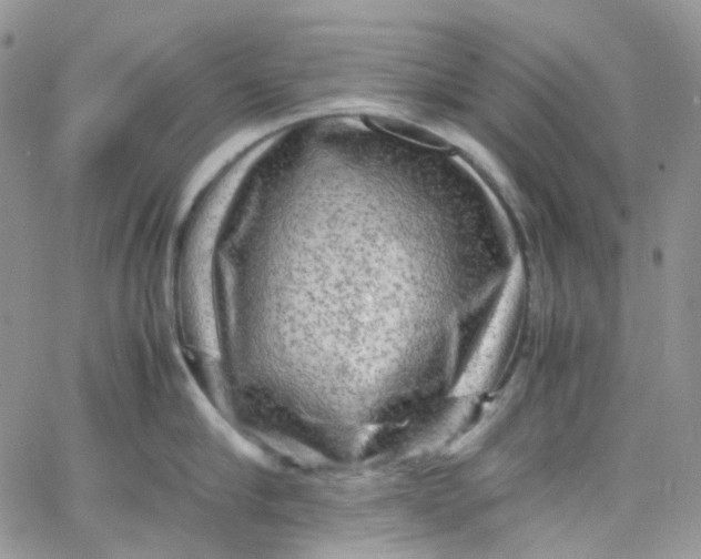 X0000066000910200603172202