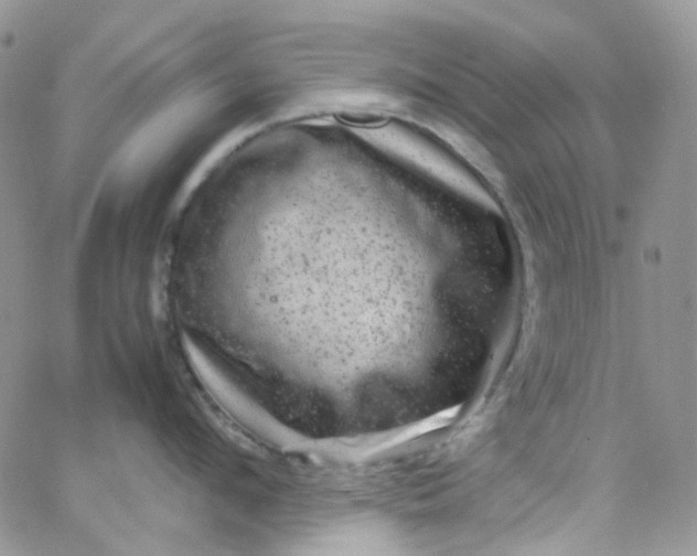 X0000066000912200603172202