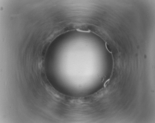 X0000066000914200603172201