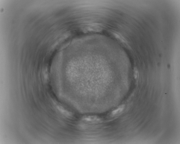 X0000066000915200603172201