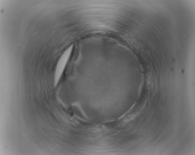 X0000066000916200603172201