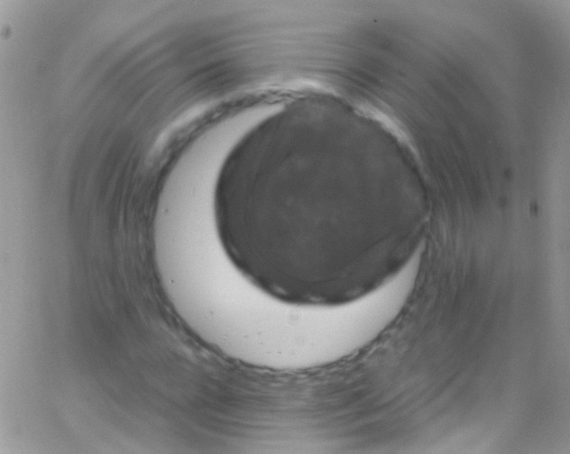 X0000066000920200603172201