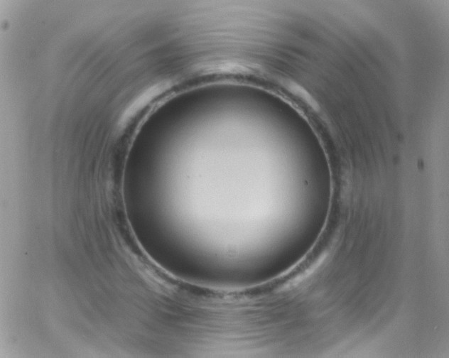 X0000066000922200603172201