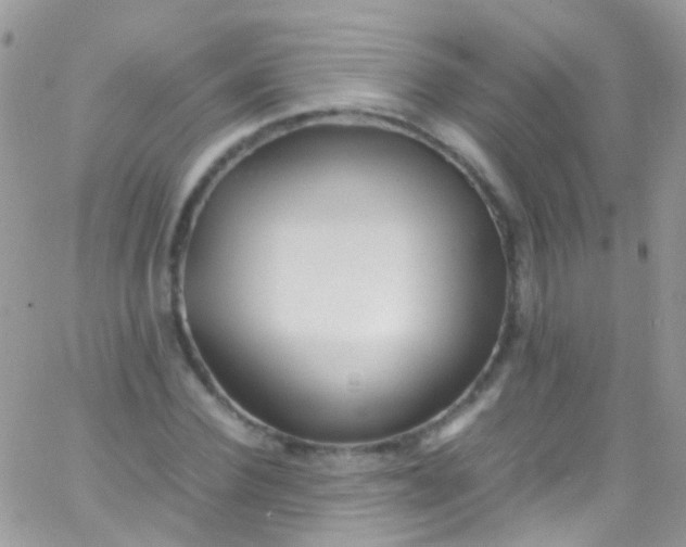 X0000066000924200603172201