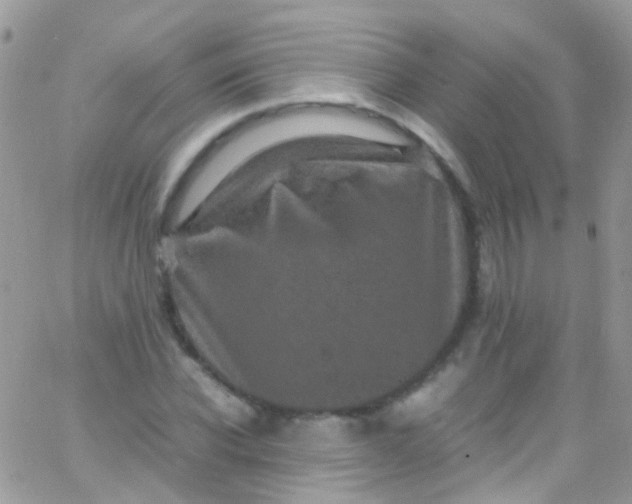 X0000066000926200603172201