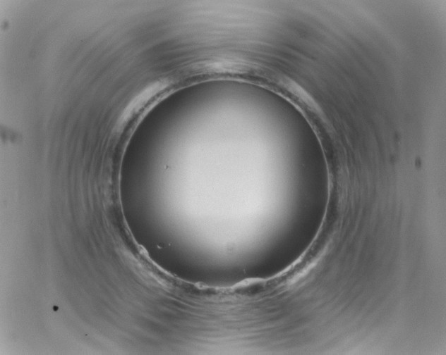 X0000066000930200603172201