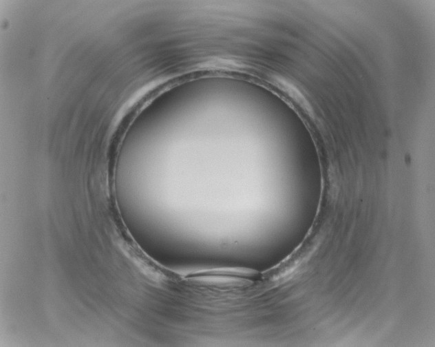 X0000066000931200603172201