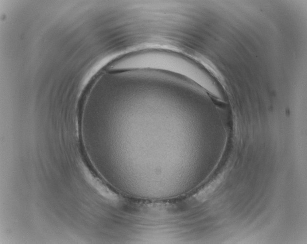 X0000066000934200603172202