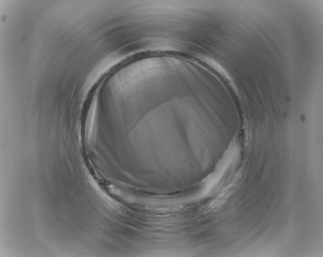 X0000066000935200603172202